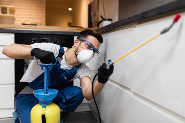 Best Cockroach Control Services  in Lodi, WI