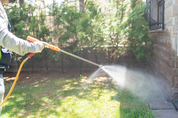 Best Termite Control Services  in Lodi, WI