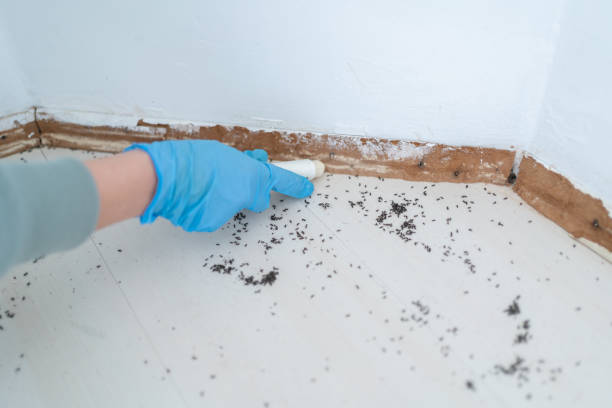 Best Commercial Pest Control Services  in Lodi, WI