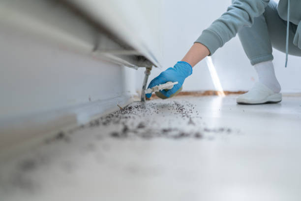 Pest Prevention Services in Lodi, WI