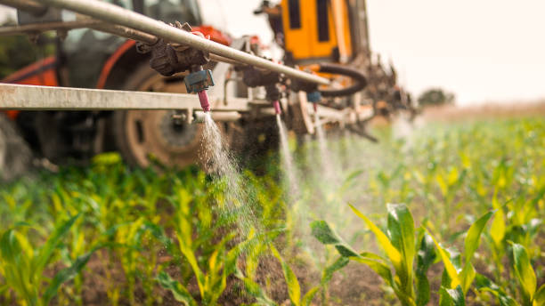 Best Wildlife Control Services  in Lodi, WI
